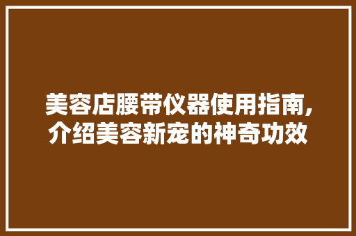 美容店腰带仪器使用指南,介绍美容新宠的神奇功效