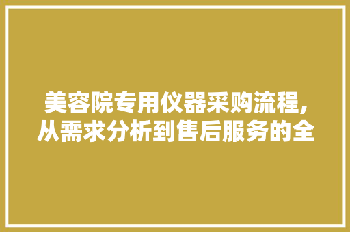 美容院专用仪器采购流程,从需求分析到售后服务的全方位指南