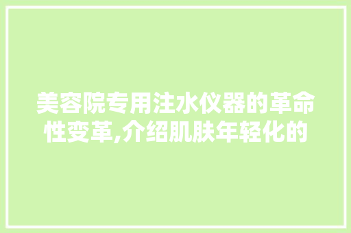 美容院专用注水仪器的革命性变革,介绍肌肤年轻化的秘密武器