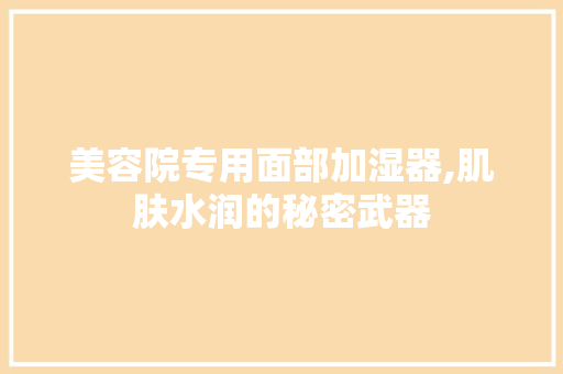 美容院专用面部加湿器,肌肤水润的秘密武器