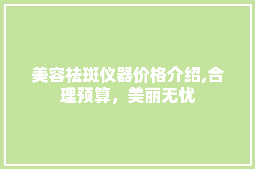 美容祛斑仪器价格介绍,合理预算，美丽无忧