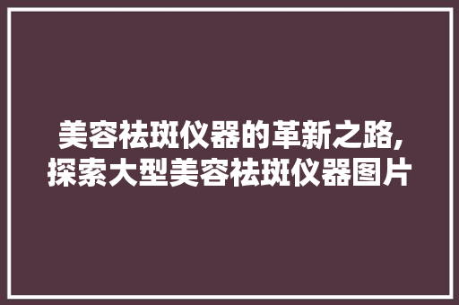 美容祛斑仪器的革新之路,探索大型美容祛斑仪器图片大全背后的科技力量 婚姻情感