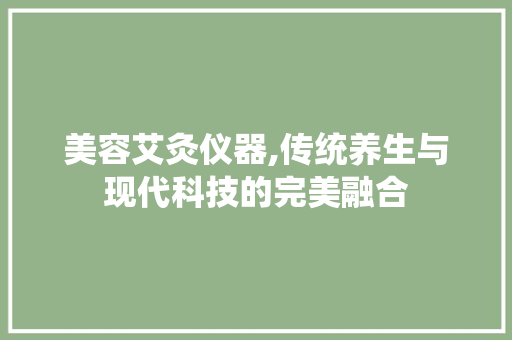 美容艾灸仪器,传统养生与现代科技的完美融合