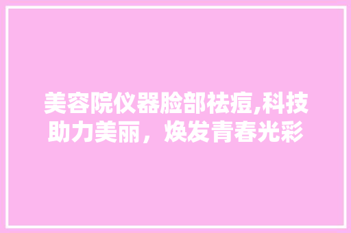 美容院仪器脸部祛痘,科技助力美丽，焕发青春光彩 综合便民