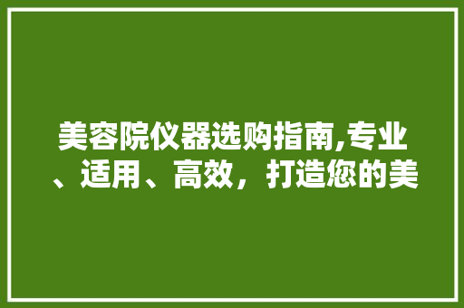 美容院仪器选购指南,专业、适用、高效，打造您的美丽事业