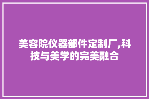 美容院仪器部件定制厂,科技与美学的完美融合