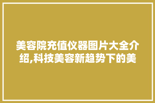 美容院充值仪器图片大全介绍,科技美容新趋势下的美丽革命
