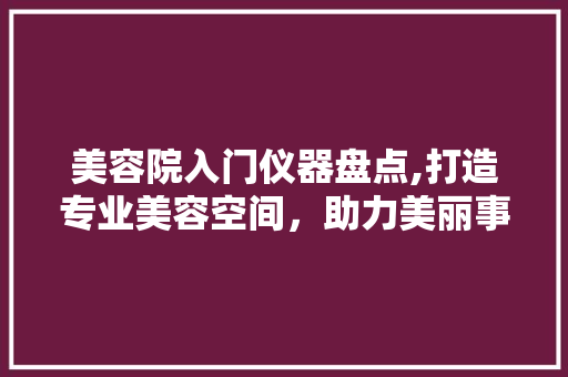 美容院入门仪器盘点,打造专业美容空间，助力美丽事业腾飞