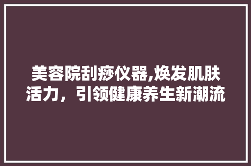 美容院刮痧仪器,焕发肌肤活力，引领健康养生新潮流