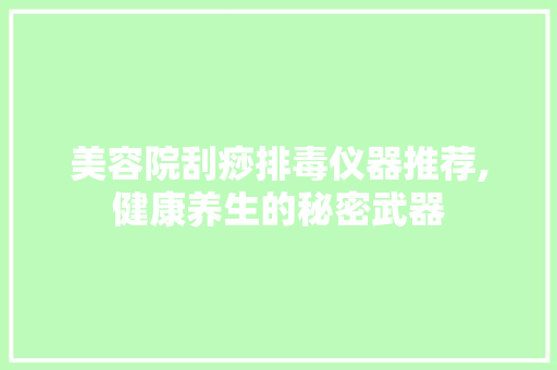 美容院刮痧排毒仪器推荐,健康养生的秘密武器