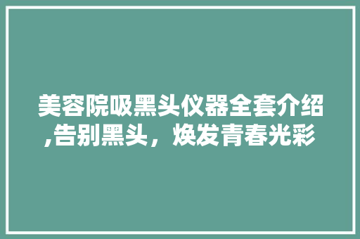 美容院吸黑头仪器全套介绍,告别黑头，焕发青春光彩