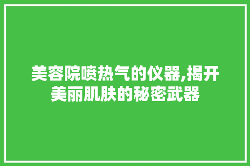 美容院喷热气的仪器,揭开美丽肌肤的秘密武器