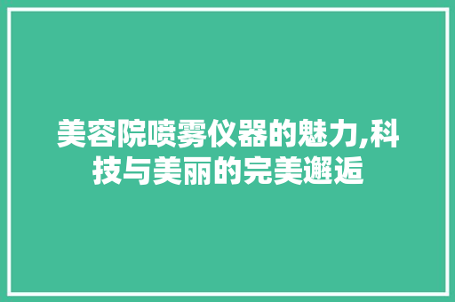 美容院喷雾仪器的魅力,科技与美丽的完美邂逅 美体修身
