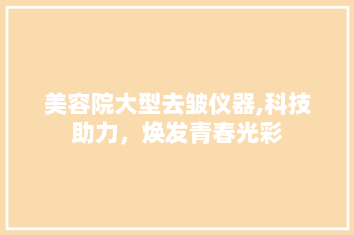 美容院大型去皱仪器,科技助力，焕发青春光彩