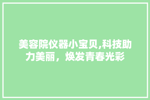 美容院仪器小宝贝,科技助力美丽，焕发青春光彩