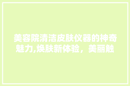美容院清洁皮肤仪器的神奇魅力,焕肤新体验，美丽触手可及