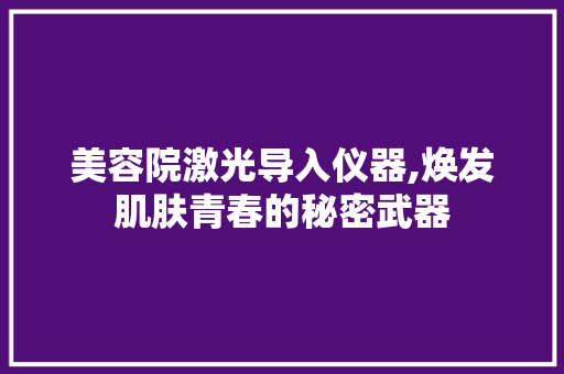 美容院激光导入仪器,焕发肌肤青春的秘密武器 饮食大全