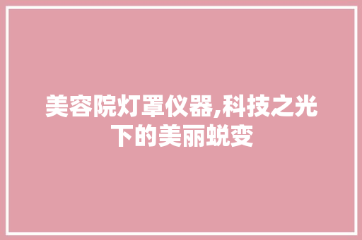 美容院灯罩仪器,科技之光下的美丽蜕变 饮食大全