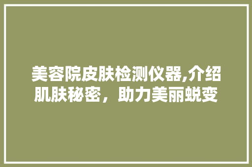 美容院皮肤检测仪器,介绍肌肤秘密，助力美丽蜕变