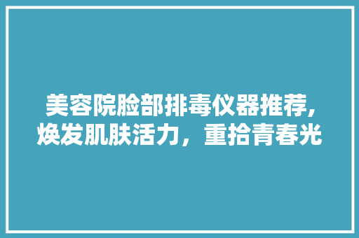 美容院脸部排毒仪器推荐,焕发肌肤活力，重拾青春光彩