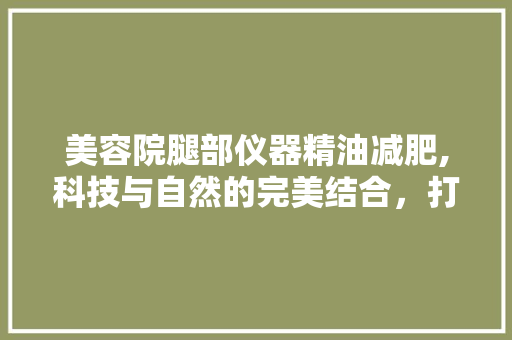 美容院腿部仪器精油减肥,科技与自然的完美结合，打造完美身材