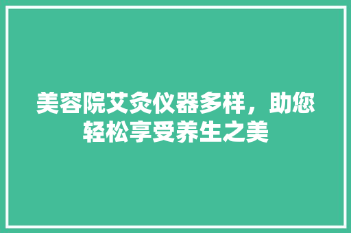 美容院艾灸仪器多样，助您轻松享受养生之美