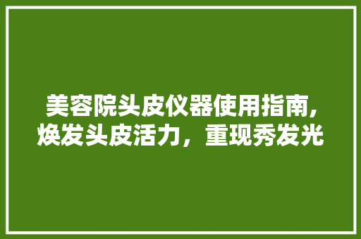 美容院头皮仪器使用指南,焕发头皮活力，重现秀发光彩