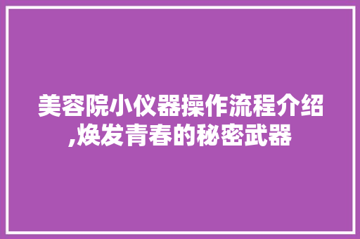 美容院小仪器操作流程介绍,焕发青春的秘密武器