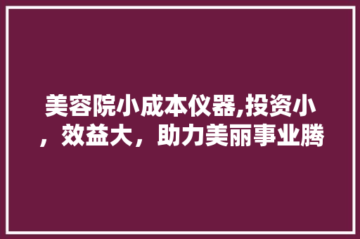 美容院小成本仪器,投资小，效益大，助力美丽事业腾飞