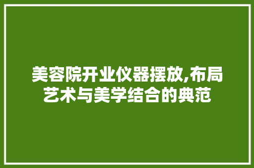 美容院开业仪器摆放,布局艺术与美学结合的典范