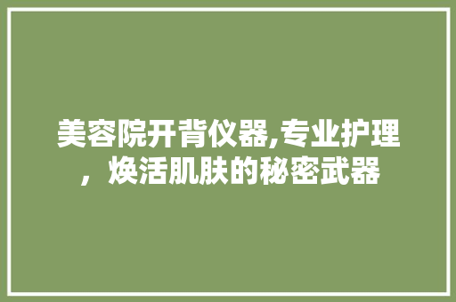 美容院开背仪器,专业护理，焕活肌肤的秘密武器