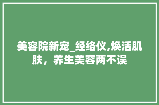 美容院新宠_经络仪,焕活肌肤，养生美容两不误