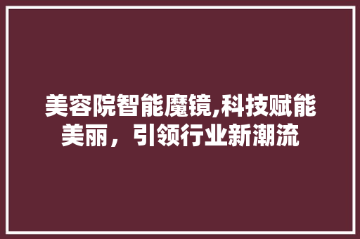 美容院智能魔镜,科技赋能美丽，引领行业新潮流