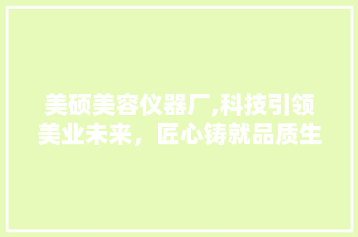 美硕美容仪器厂,科技引领美业未来，匠心铸就品质生活