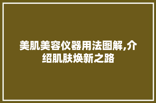 美肌美容仪器用法图解,介绍肌肤焕新之路