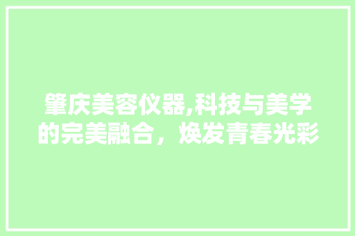 肇庆美容仪器,科技与美学的完美融合，焕发青春光彩