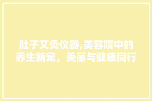 肚子艾灸仪器,美容院中的养生新宠，美丽与健康同行
