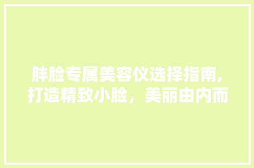 胖脸专属美容仪选择指南,打造精致小脸，美丽由内而外