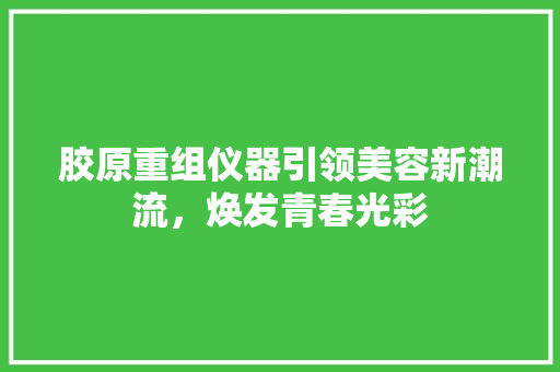 胶原重组仪器引领美容新潮流，焕发青春光彩