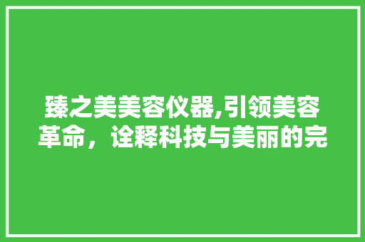 臻之美美容仪器,引领美容革命，诠释科技与美丽的完美融合 婚姻情感