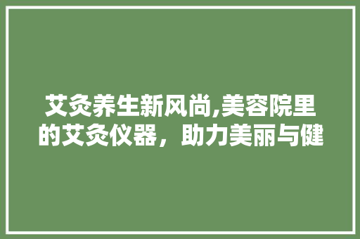 艾灸养生新风尚,美容院里的艾灸仪器，助力美丽与健康同行