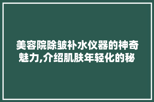 美容院除皱补水仪器的神奇魅力,介绍肌肤年轻化的秘密武器