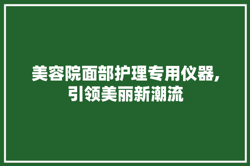 美容院面部护理专用仪器,引领美丽新潮流