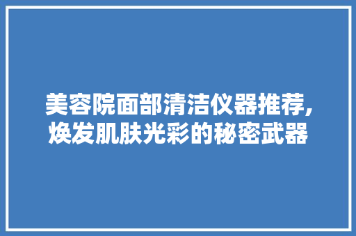美容院面部清洁仪器推荐,焕发肌肤光彩的秘密武器 饮食大全