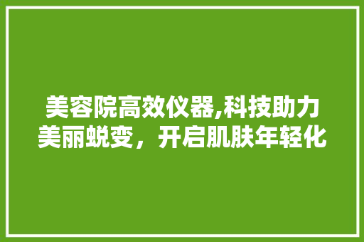美容院高效仪器,科技助力美丽蜕变，开启肌肤年轻化新篇章