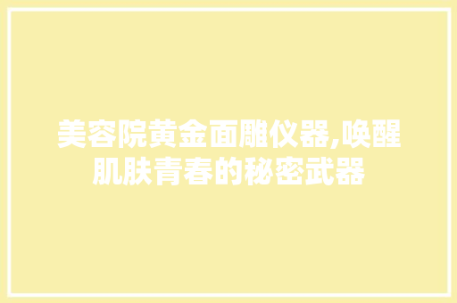 美容院黄金面雕仪器,唤醒肌肤青春的秘密武器 美体修身