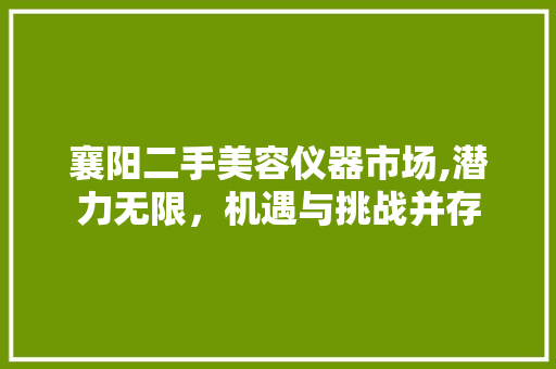 襄阳二手美容仪器市场,潜力无限，机遇与挑战并存