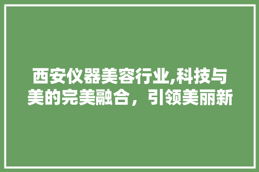 西安仪器美容行业,科技与美的完美融合，引领美丽新风尚