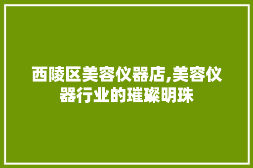西陵区美容仪器店,美容仪器行业的璀璨明珠