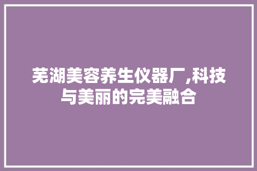 芜湖美容养生仪器厂,科技与美丽的完美融合